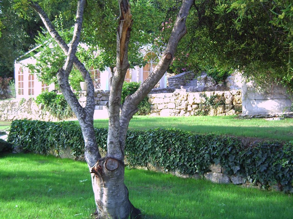 Domaine Du Mont Leuze Villa Villefranche-sur-Mer Eksteriør bilde